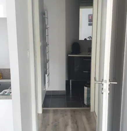 公寓 T2 45 M² En Centre-ville 阿克斯莱泰尔姆