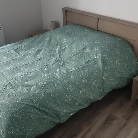 公寓 T2 45 M² En Centre-ville 阿克斯莱泰尔姆