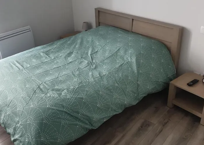 Apartment T2 45 M² En Centre-ville Ax-les-Thermes